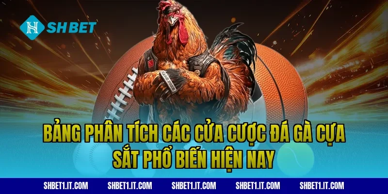 Bảng Phân Tích Các Cửa Cược Đá Gà Cựa Sắt Phổ Biến Hiện Nay