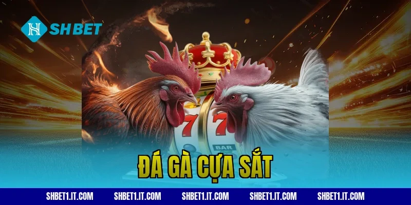 đá gà cựa sắt