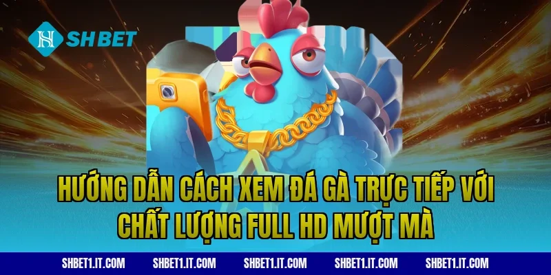 Hướng dẫn cách xem đá gà trực tiếp với chất lượng Full HD mượt mà