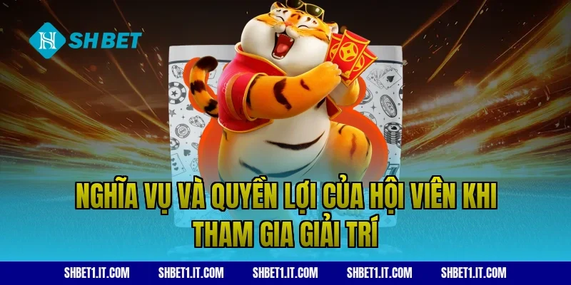 Nghĩa vụ và quyền lợi của hội viên khi tham gia giải trí